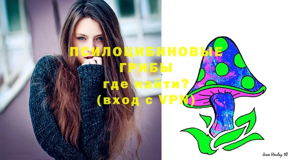 хмурый Ступино