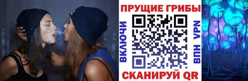 Купить закладки Лобня Псилоцибиновые грибы мицелий